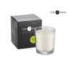 Sojawachskerze 170 g - Lemongrass & Ginger - VERA YOUNG - Transparent