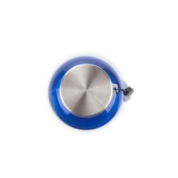 Flasche REDUCE 500ml - Blau