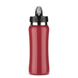 Stahlflasche PATRO 600ml - Rot