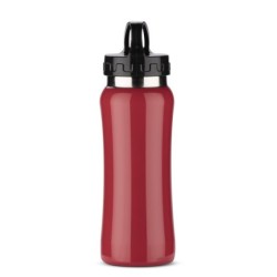 Stahlflasche PATRO 600ml - Rot