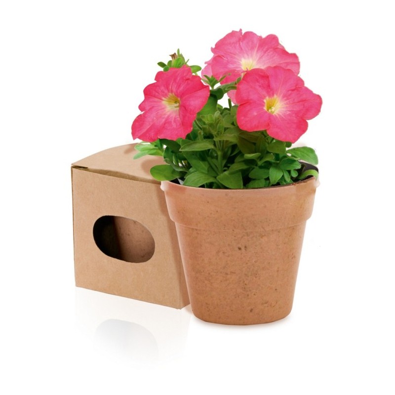 Blumentopf mit Samen 5-8 St. - Braun