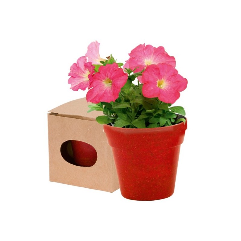 Blumentopf mit Samen 5-8 St. - Rot