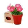 Blumentopf mit Samen 5-8 St. - Rot