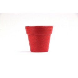 Blumentopf mit Samen 5-8 St. - Rot