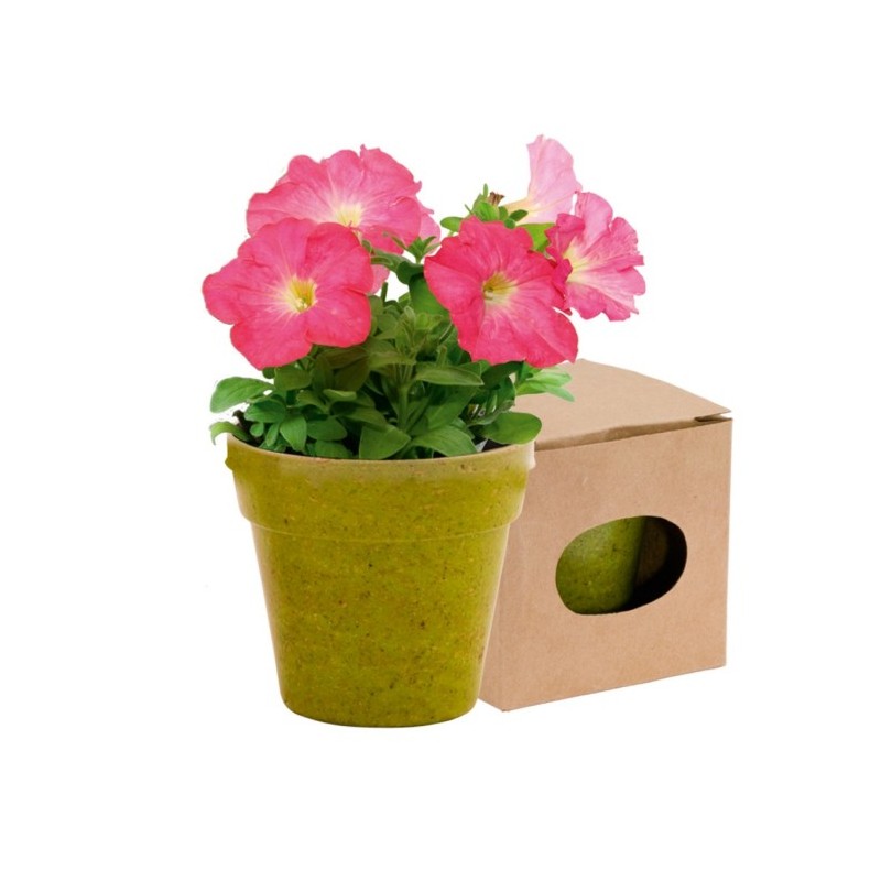 Blumentopf mit Samen 5-8 St. - Grün