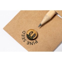 Bleistift, Pinienkerne - Braun