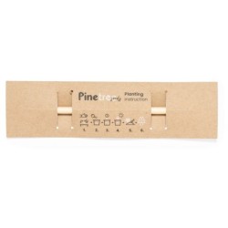 Bleistift, Pinienkerne - Braun