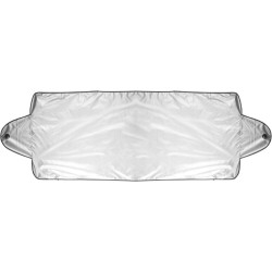 Winterblende - Silber