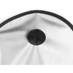 Winterblende - Silber