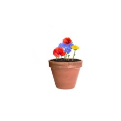 Samenball, Wildblumensamenball - Braun