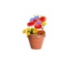 Samenball, Wildblumensamenball - Braun