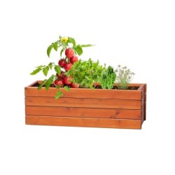 Samenkugeln Set, 4 Arten von Samen - Braun