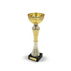 Pokal - Gold