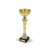 Pokal - Gold