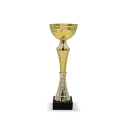 Pokal - Gold