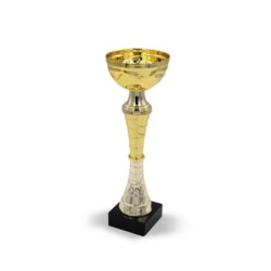 Pokal - Gold