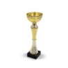 Pokal - Gold