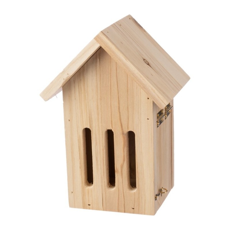 Schmetterlingshaus - Braun