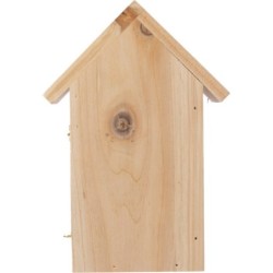 Schmetterlingshaus - Braun