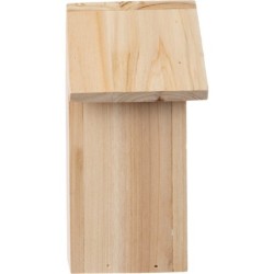 Schmetterlingshaus - Braun