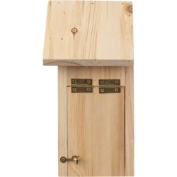 Schmetterlingshaus - Braun