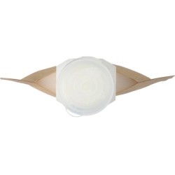 Sonnencreme mit Lichtschutzfaktor SPF30 - Braun