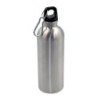 Sportflasche 500 ml mit Karabinerclip | Brenda - Silber