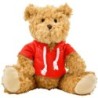 Teddybär mit Kapuze - Rot