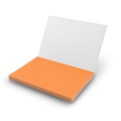 Elektrostatische Haftnotizen | Rolly