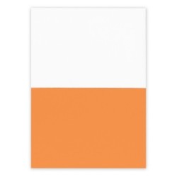 Elektrostatische Haftnotizen | Rolly