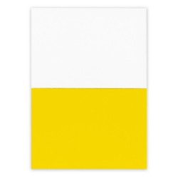 Elektrostatische Haftnotizen | Rolly