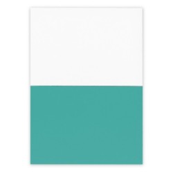 Elektrostatische Haftnotizen | Rolly