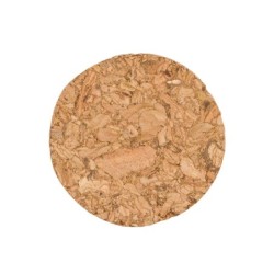 Junnan Teesieb - Transparent