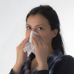 Taschentücher 10 Stück 3 lagig - Weiß