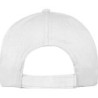 AZO freie 5 Panel Baumwoll-Baseball-Cap