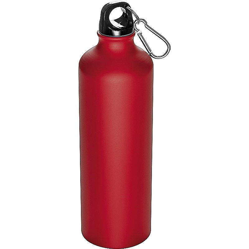 Trinkflasche aus Metall mit Karabinerhaken 800ml