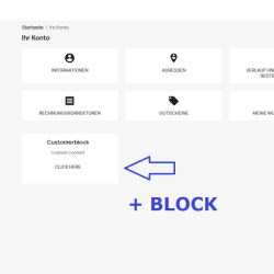 Customer Area Block - Kundenbereich Kachel